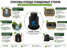 Спарта 1000